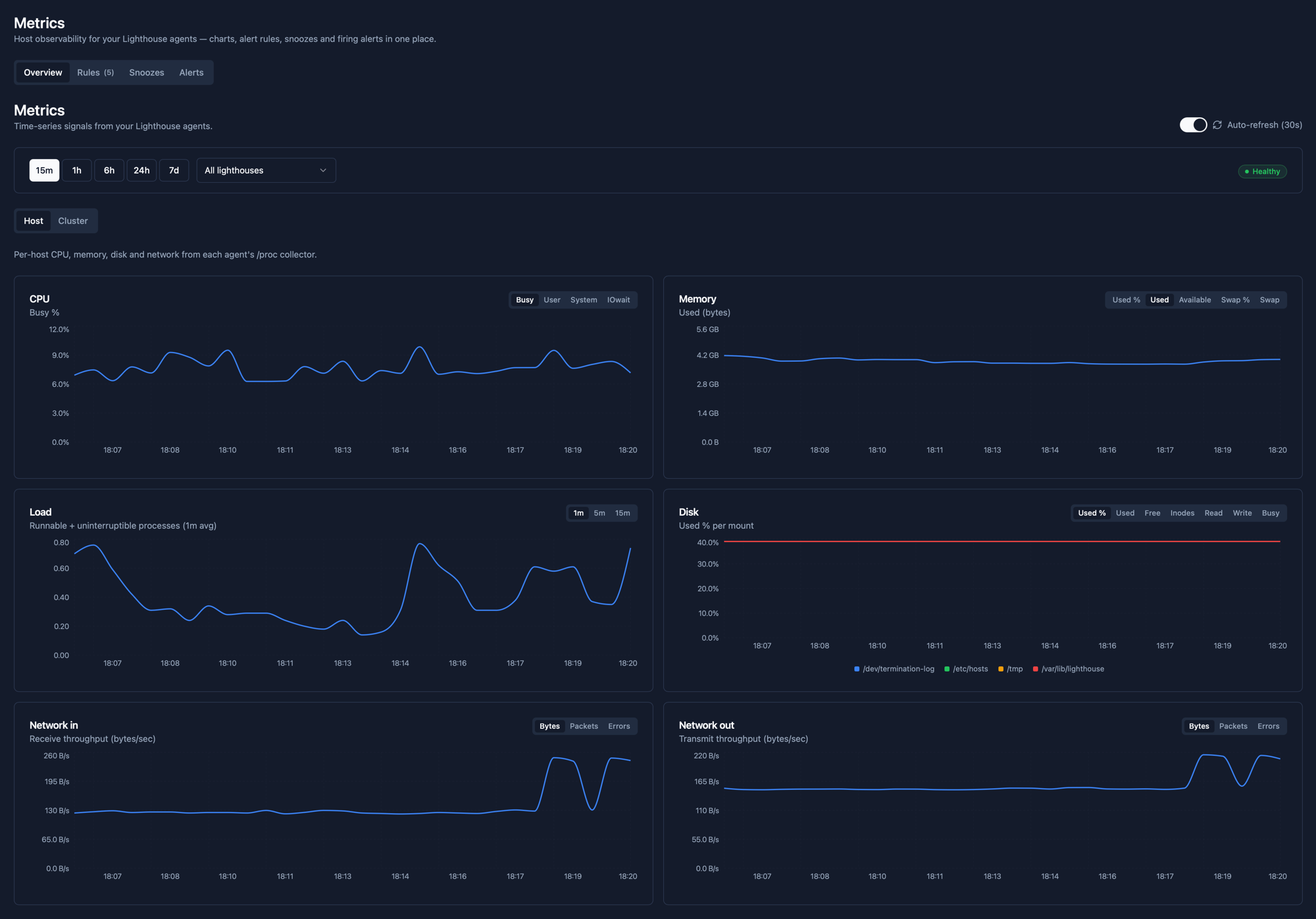 Metrics overview tab showing CPU, memory, load, disk and network charts for the selected Lighthouse